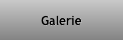 Galerie